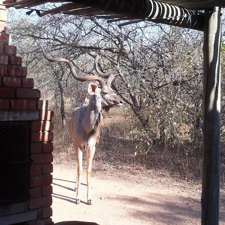 Eagle'S Crest Villa Marloth Park Luaran gambar