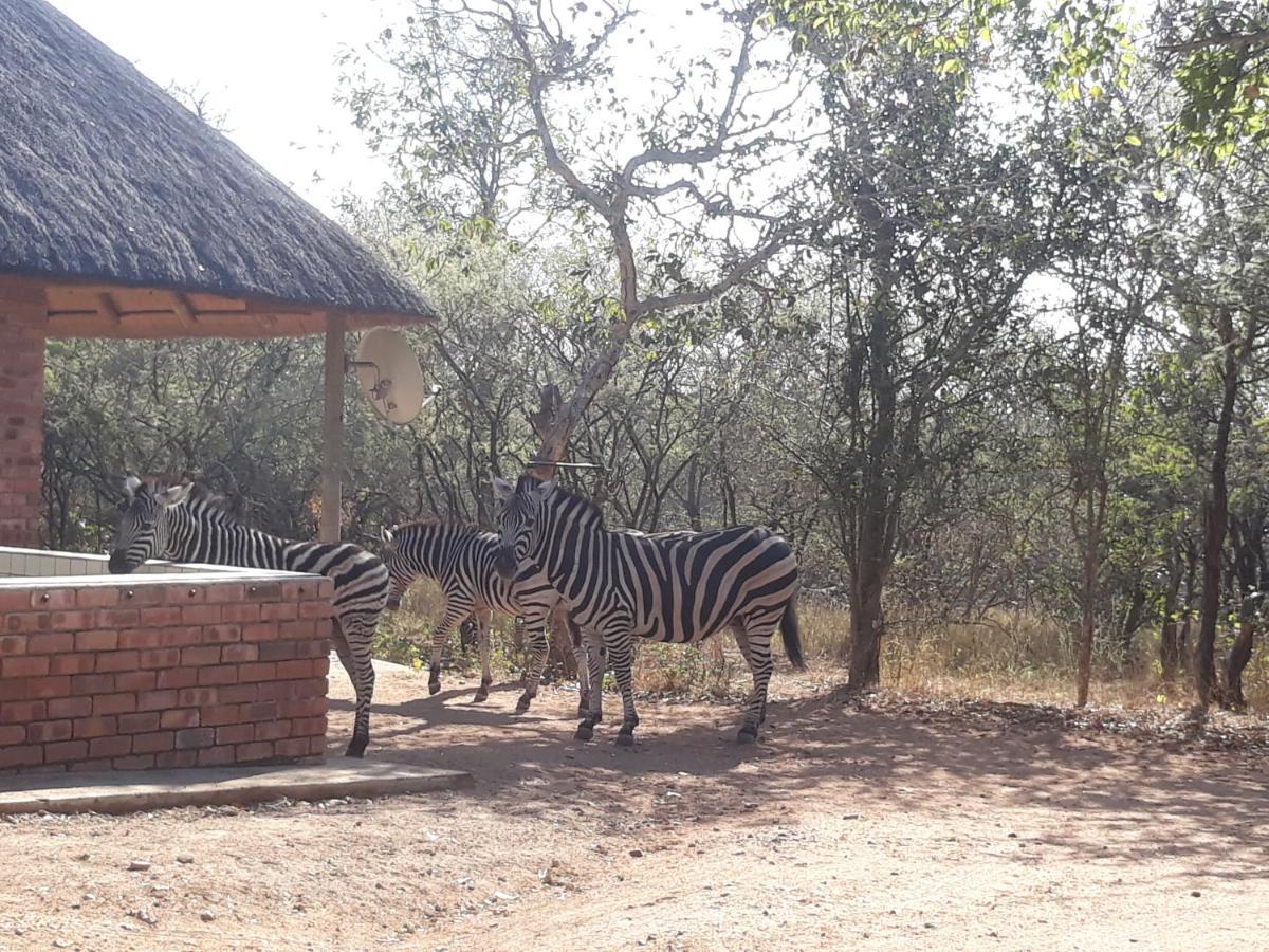 Eagle'S Crest Villa Marloth Park Luaran gambar