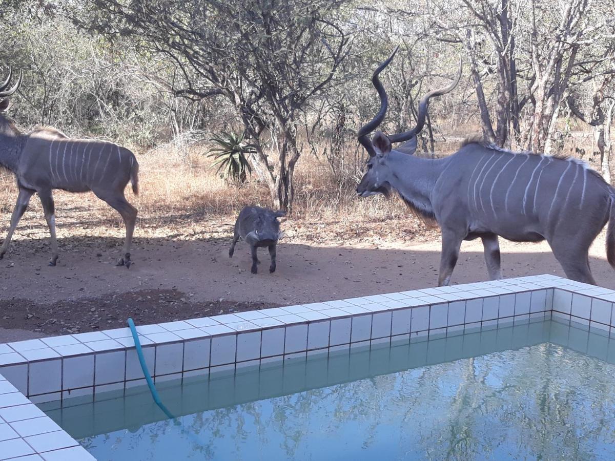Eagle'S Crest Villa Marloth Park Luaran gambar
