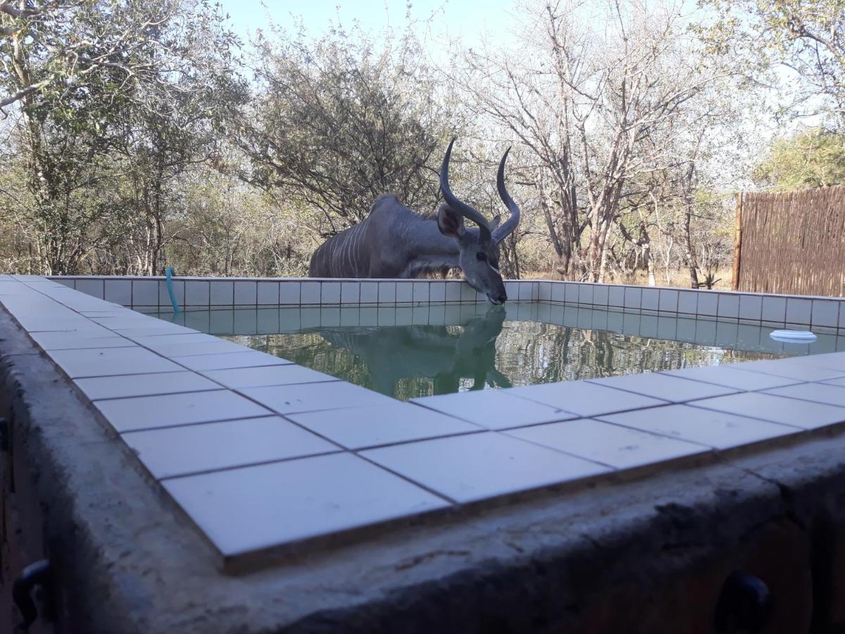 Eagle'S Crest Villa Marloth Park Luaran gambar