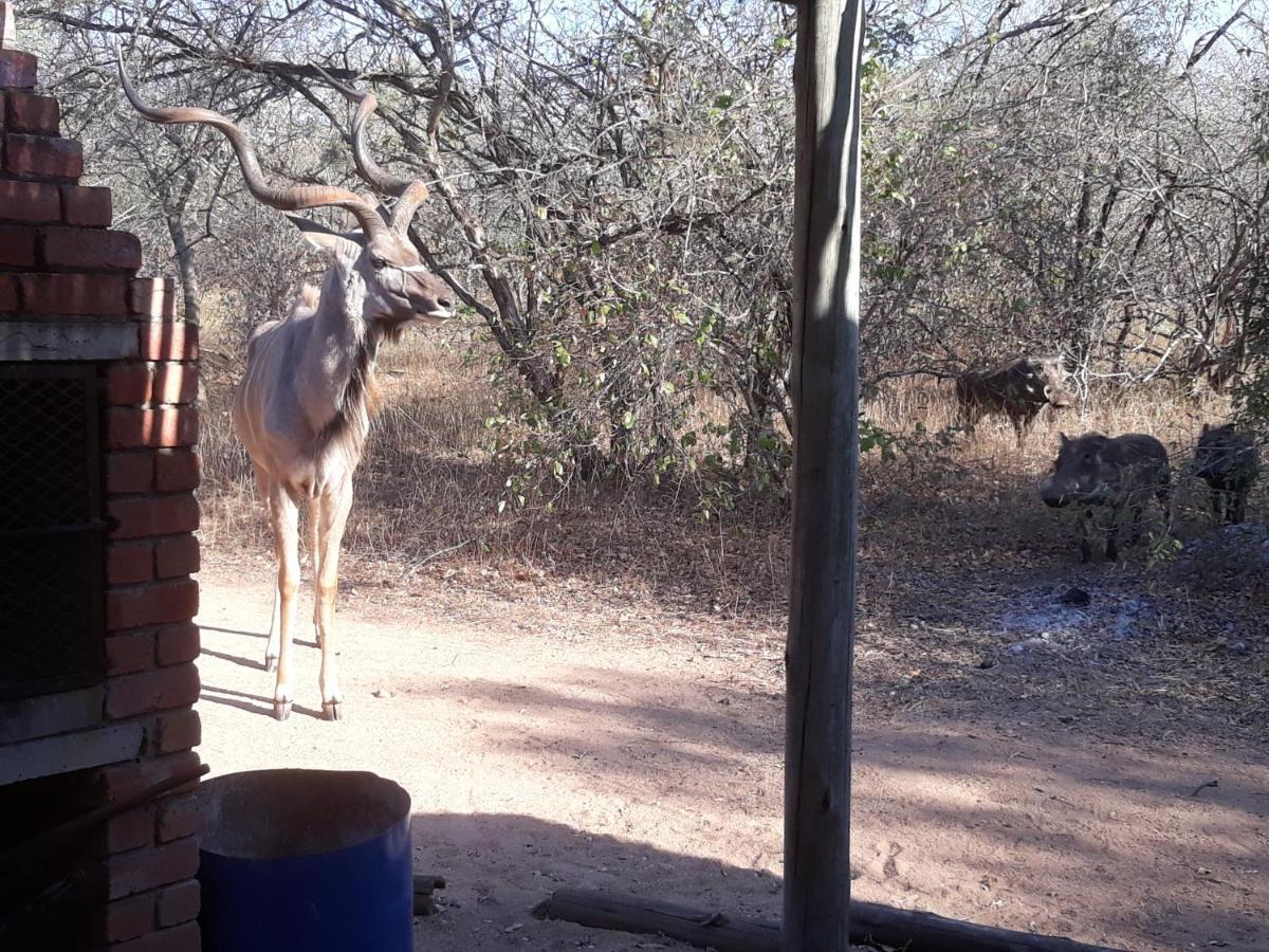 Eagle'S Crest Villa Marloth Park Luaran gambar