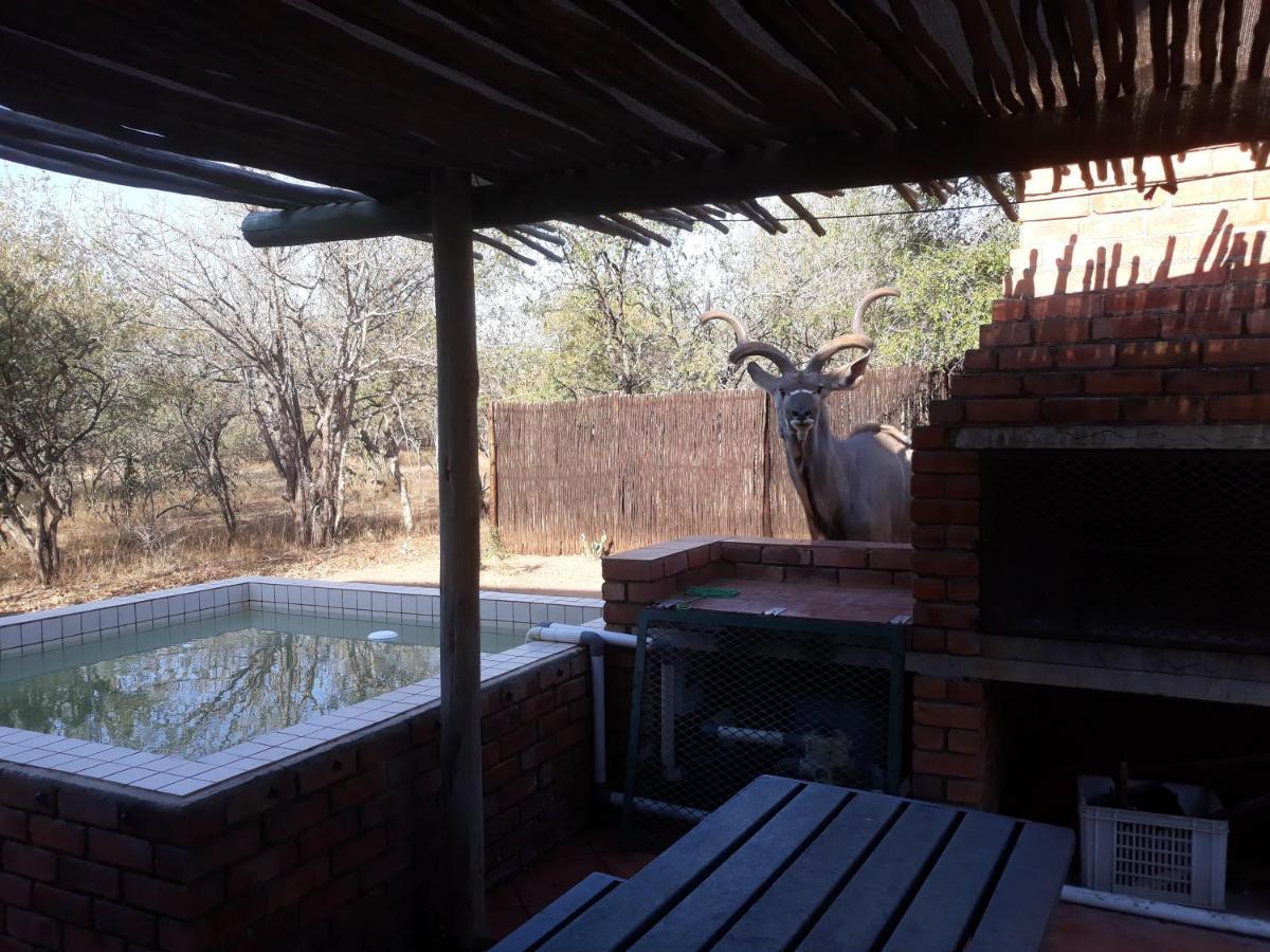 Eagle'S Crest Villa Marloth Park Luaran gambar