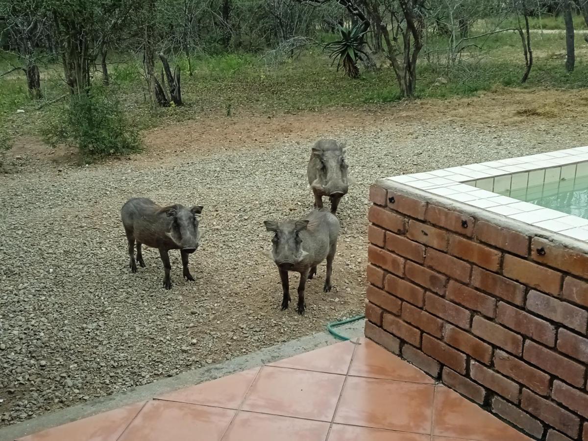 Eagle'S Crest Villa Marloth Park Luaran gambar